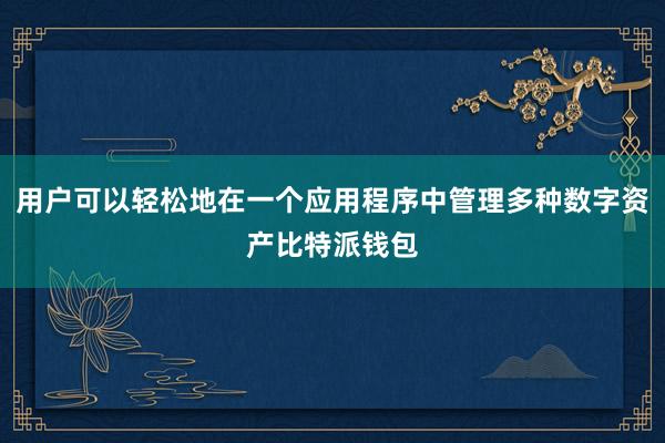 用户可以轻松地在一个应用程序中管理多种数字资产比特派钱包