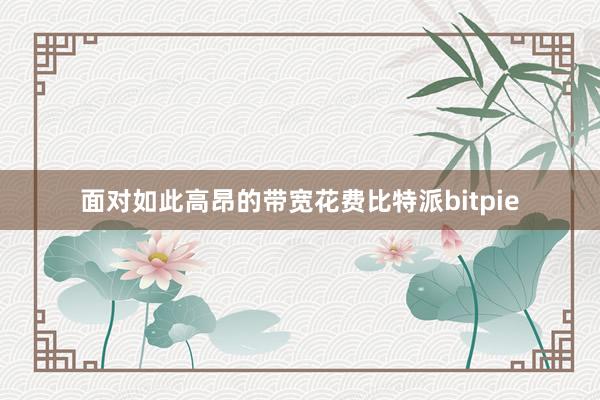 面对如此高昂的带宽花费比特派bitpie