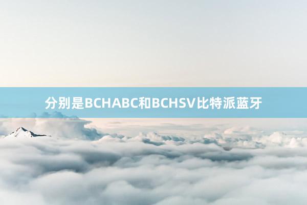 分别是BCHABC和BCHSV比特派蓝牙