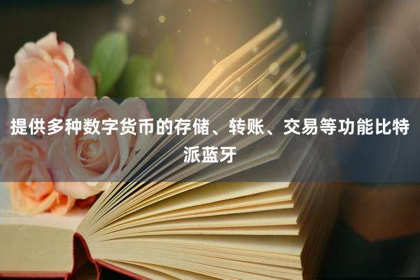 提供多种数字货币的存储、转账、交易等功能比特派蓝牙