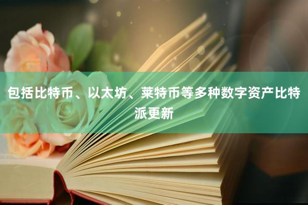 包括比特币、以太坊、莱特币等多种数字资产比特派更新