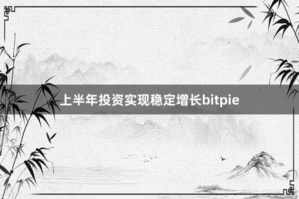 上半年投资实现稳定增长bitpie