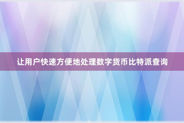 让用户快速方便地处理数字货币比特派查询