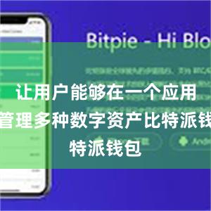 让用户能够在一个应用中管理多种数字资产比特派钱包