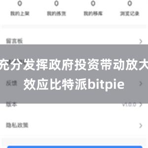 充分发挥政府投资带动放大效应比特派bitpie