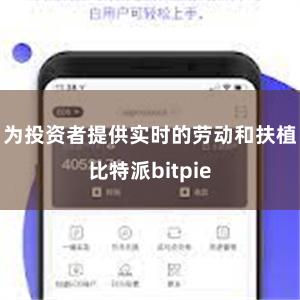 为投资者提供实时的劳动和扶植比特派bitpie